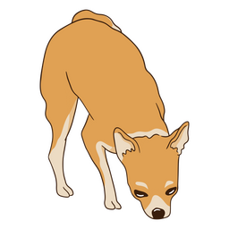 cheiro de cachorro chihuahua Desenho PNG