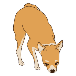 olfateador de perros chihuahua Transparent PNG