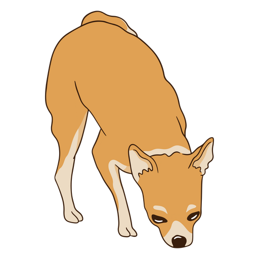 Chihuahua-Hund schnüffeln PNG-Design