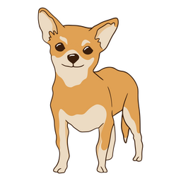 Perro chihuahua feliz Diseño PNG