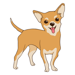perro mascota chihuahua Diseño PNG