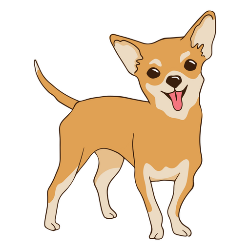 cachorro de estimação chihuahua Desenho PNG