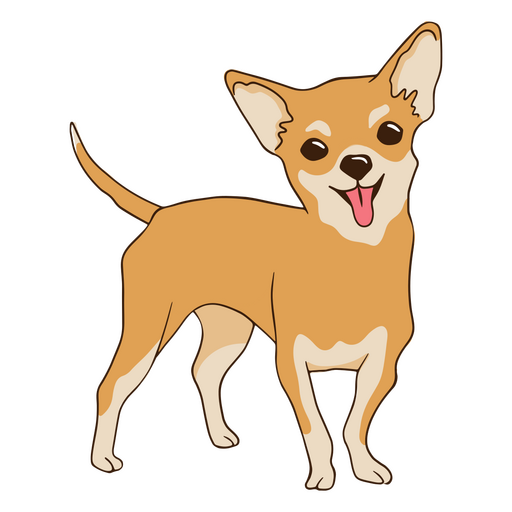Chihuahua pet dog PNG Design
