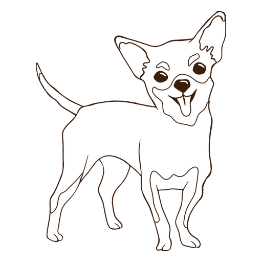 Curso de cão de estimação Chihuahua Desenho PNG