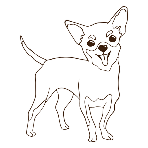 Golpe de perro mascota chihuahua Diseño PNG