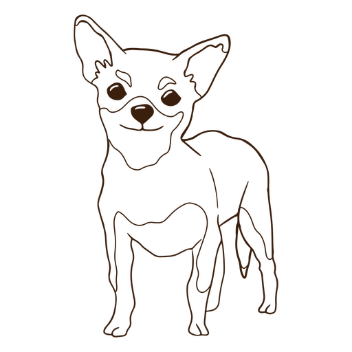 Happy chihuahua dog stroke PNG Design