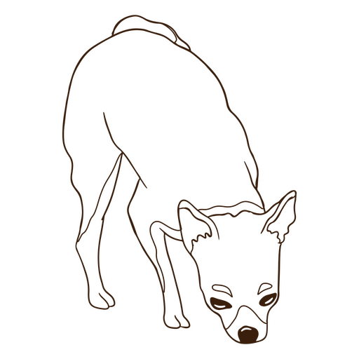 Chihuahua-Hund schnüffelt Schlaganfall PNG-Design