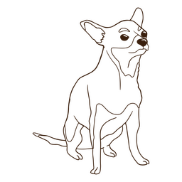 Angry Chihuahua Dog Stroke PNG & SVG Design For T-Shirts