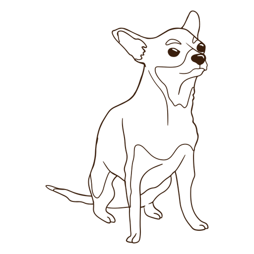 Curso de cachorro chihuahua com raiva Desenho PNG