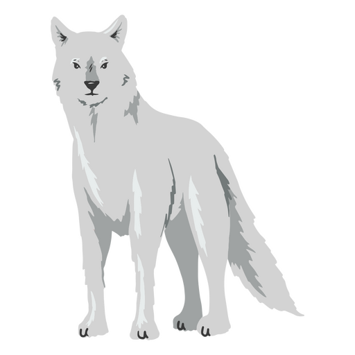 Lobo blanco majestuoso Diseño PNG
