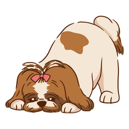 Cão bonito de traço de cor Shitzu Desenho PNG