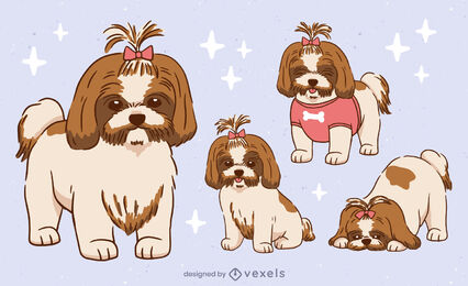 Shih tzu lindo mascota perros animales conjunto
