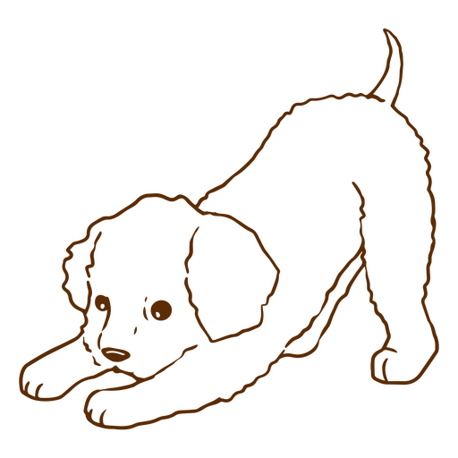 Poodle stroke cute dog PNG Design