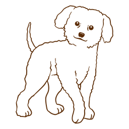 Poodle stroke dog PNG Design Transparent PNG