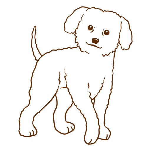 Poodle stroke dog PNG Design