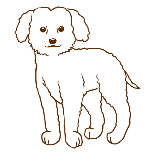 Poodle stroke dogs PNG Design