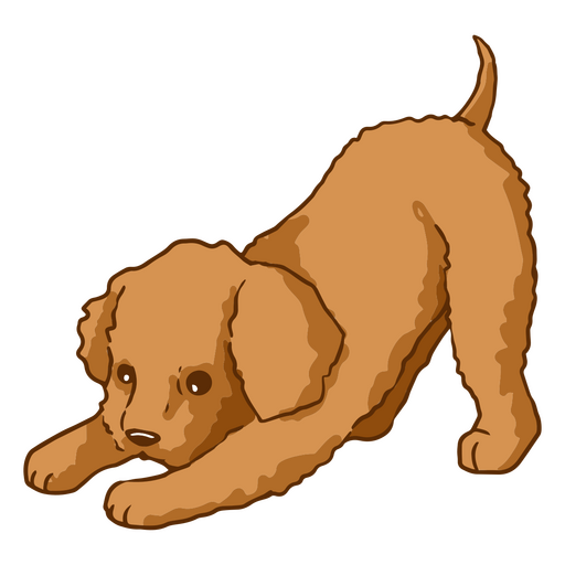 cão bonito de traço de cor de poodle Desenho PNG