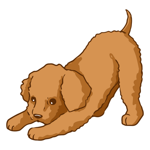 Poodle color stroke cute dog PNG Design
