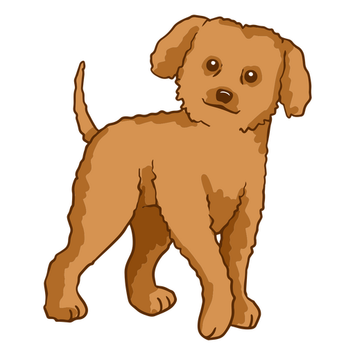 Cão de traçado de cor poodle Desenho PNG