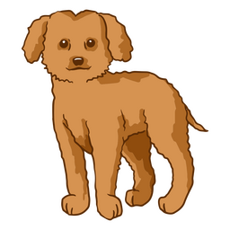Poodle color stroke dogs PNG Design Transparent PNG