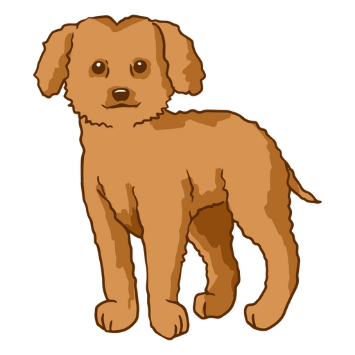 Cães de traçado de cor poodle Desenho PNG