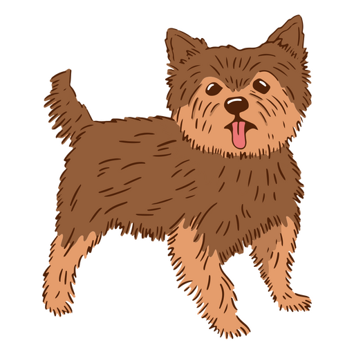 Traço de cor de Yorkshire Terrier Desenho PNG