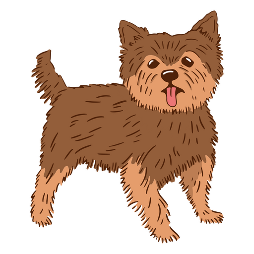 Yorkshire-Terrier-Farbstrich PNG-Design