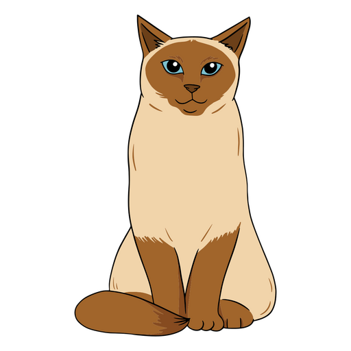 Um lindo gato siamês Desenho PNG