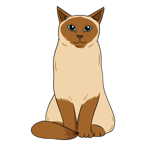 Un lindo gato siamés Diseño PNG