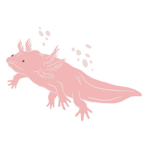 Schwimmender süßer Axolotl PNG-Design
