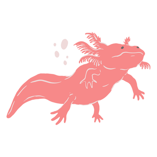 Axolotl bonito nas águas Desenho PNG