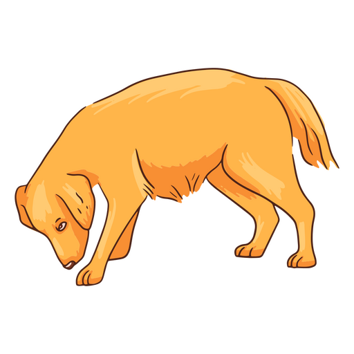 Golden retriever cute dog sniffing 