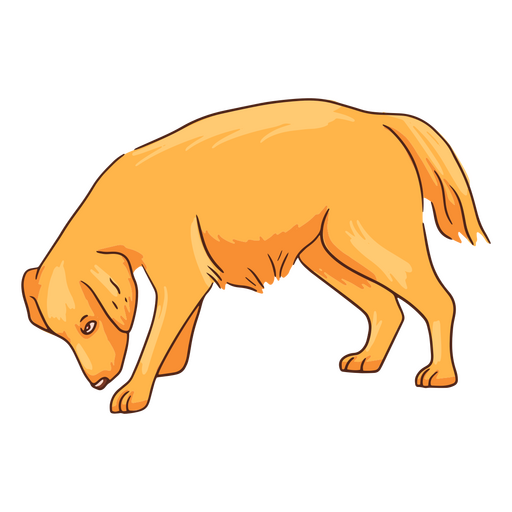 Golden Retriever süßer Hund schnüffelt PNG-Design