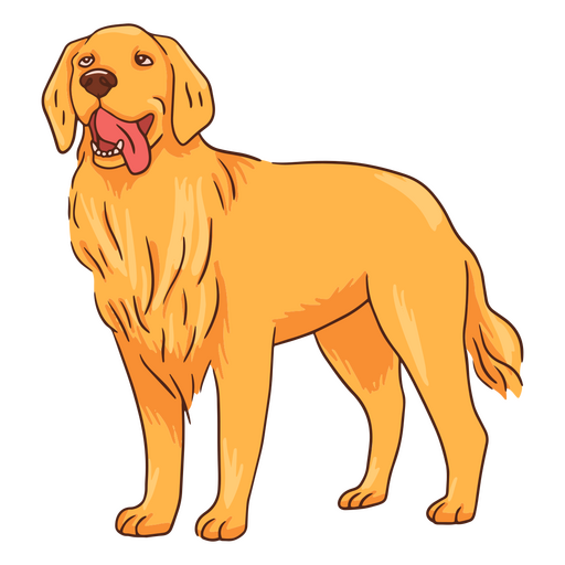 Golden retriever bom menino de estimação Desenho PNG