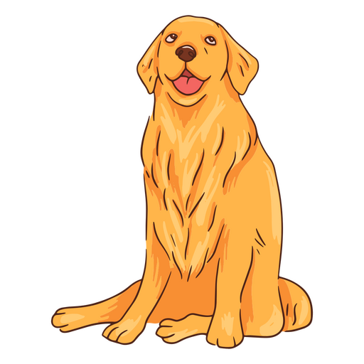 Feliz cachorro golden retriever Desenho PNG