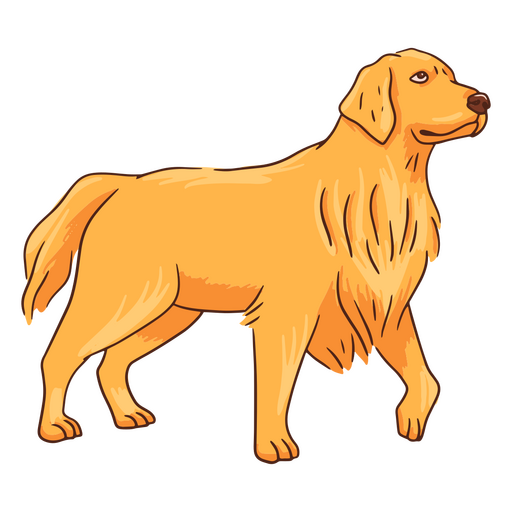 Golden retriever dog walking PNG Design