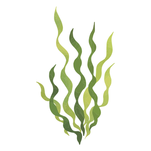 Seaweed swaying in the gentle waves of the ocean PNG Design