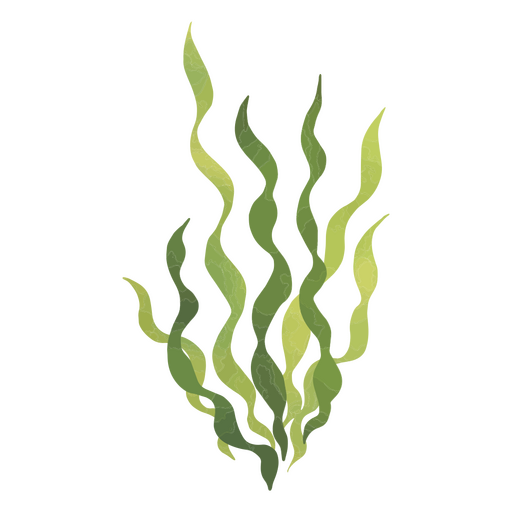 Seaweed Swaying In The Gentle Waves Of The Ocean PNG & SVG Design For T ...