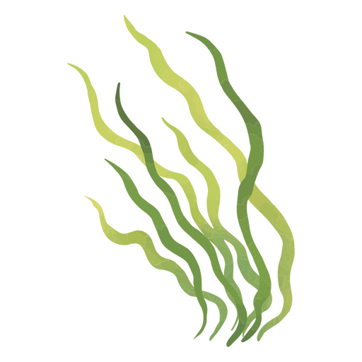 Algas nas profundezas Desenho PNG