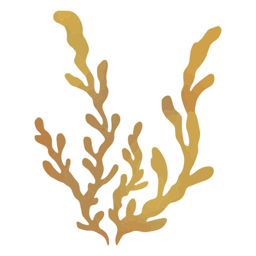 Hermosas algas en las aguas Diseño PNG
