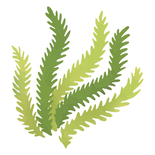Majestic seaweed in the waters PNG Design