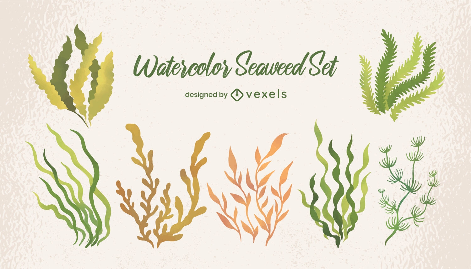Seaweed and underwater plants watercolor set