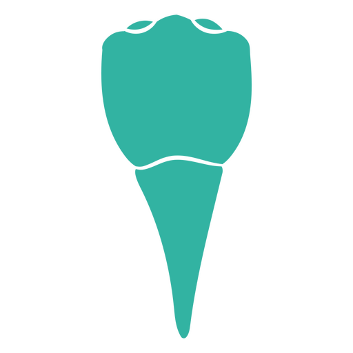 Visão aproximada de um dente com sua raiz Desenho PNG