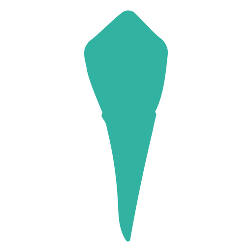The silhouette of a tooth with its root PNG Design