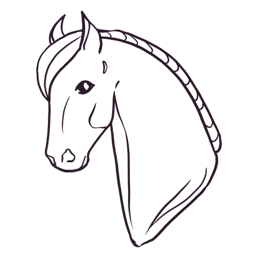 Design PNG E SVG De Cavalo Realista Desenhado à Mão Para Camisetas