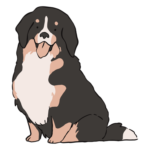 Lindo cão bernese Desenho PNG