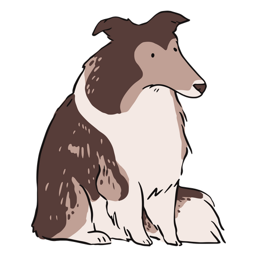 cão collie rude Desenho PNG