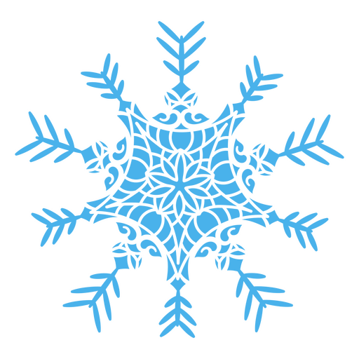 Copos de nieve de encaje brillante Diseño PNG