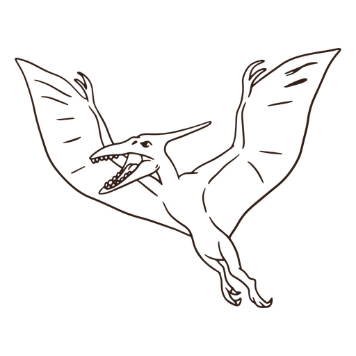 Pterosaur dinosaur stroke PNG Design