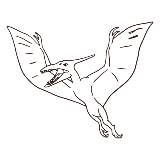 Pterosaur Dinosaur PNG & SVG Design For T-Shirts